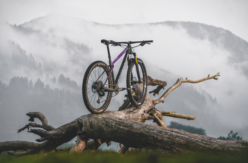 Mondraker best sale bikes hardtail